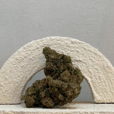 Tropical KUSH HE +