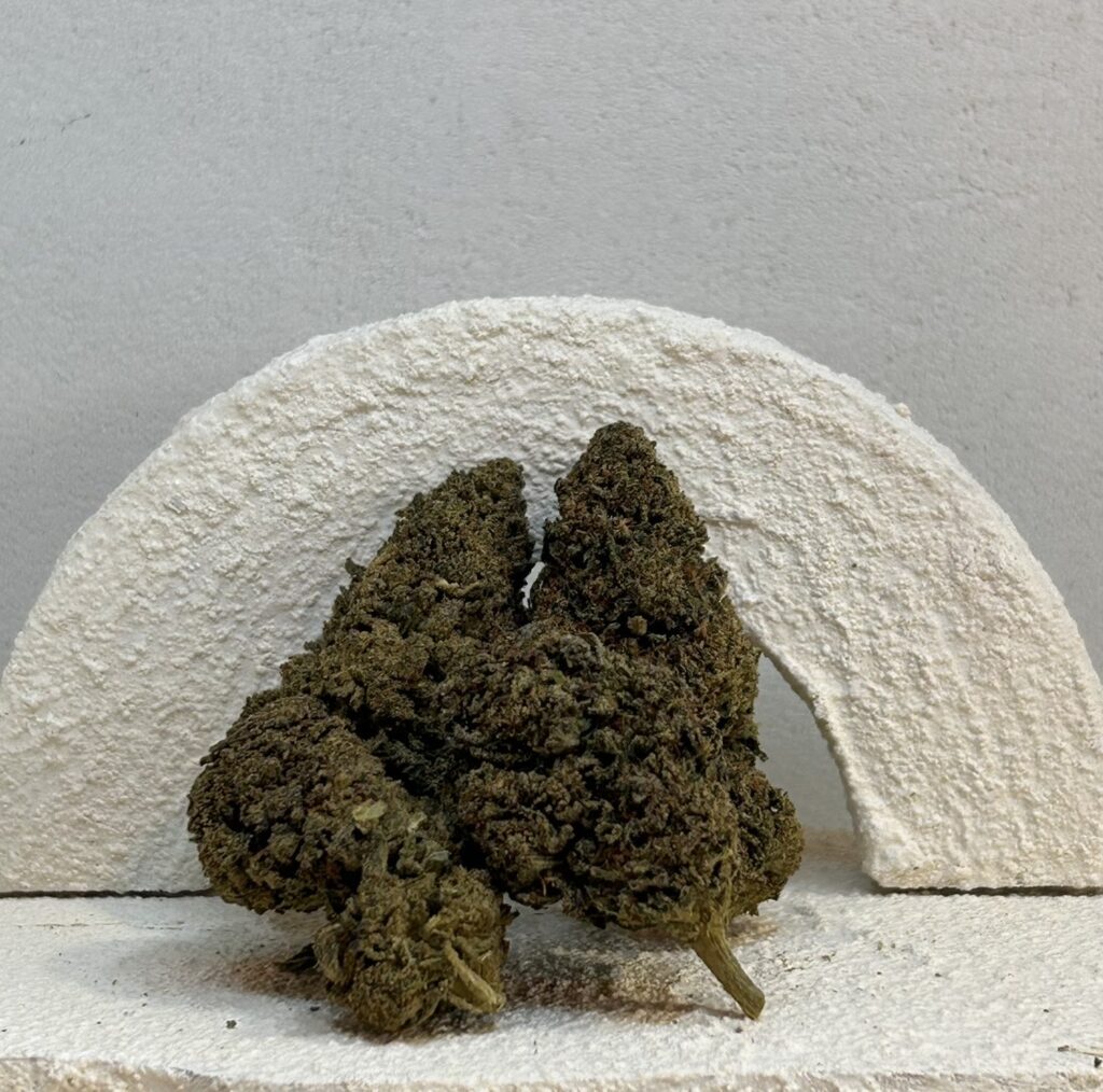 Blue dream HE +